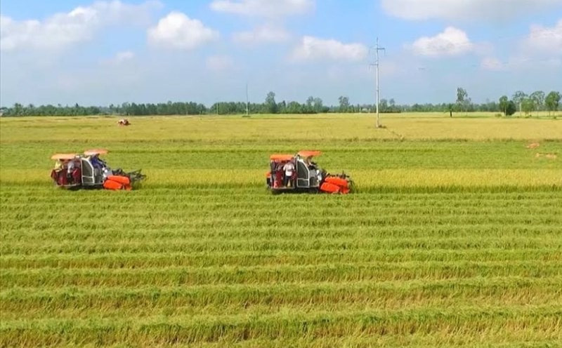 Đất phi n&ocirc;ng nghiệp kh&ocirc;ng phải l&agrave; đất ở bao gồm những loại n&agrave;o?