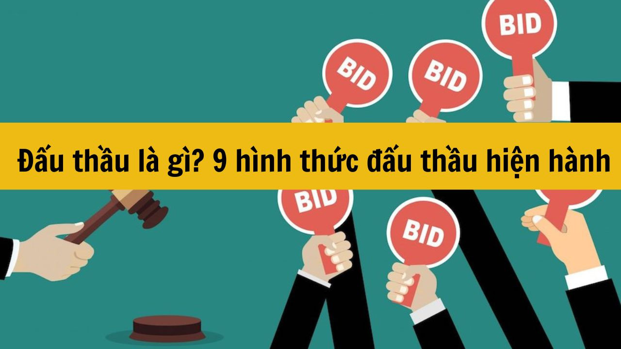 Đấu thầu l&agrave; g&igrave;? 9 h&igrave;nh thức đấu thầu hiện h&agrave;nh mới nhất 2025