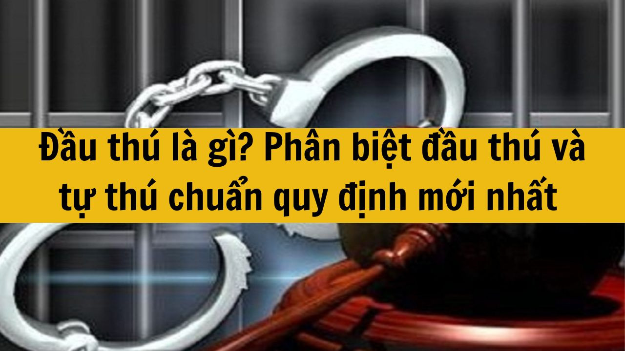 Đầu th&uacute; l&agrave; g&igrave;? Ph&acirc;n biệt đầu th&uacute; v&agrave; tự th&uacute; chuẩn quy định mới nhất 2025?