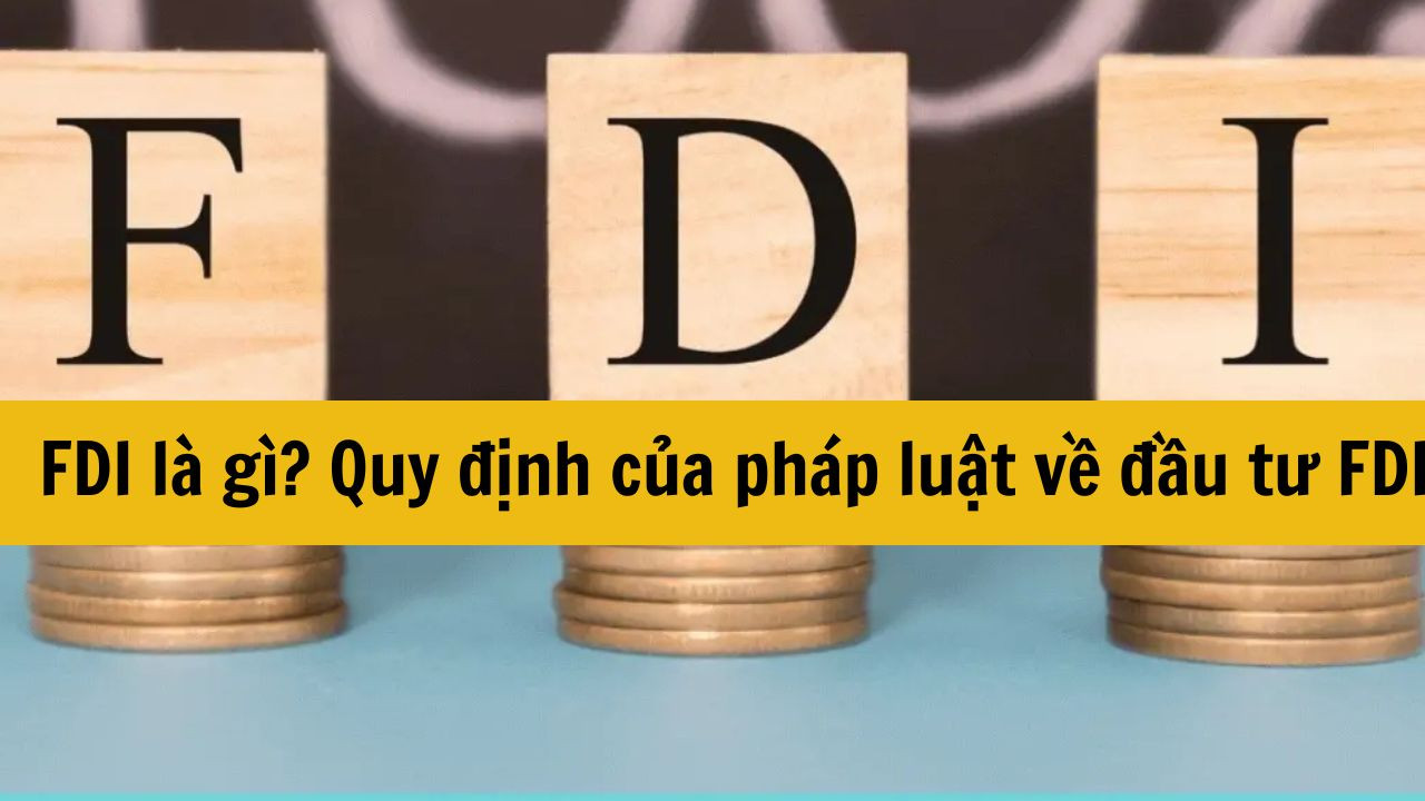 FDI l&agrave; g&igrave;? Quy định của ph&aacute;p luật về đầu tư FDI?