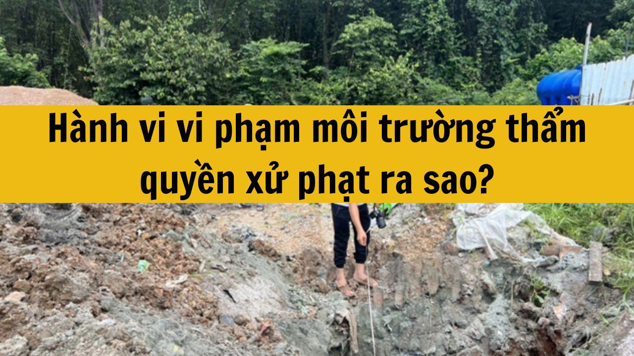 H&agrave;nh vi vi phạm m&ocirc;i trường thẩm quyền xử phạt ra sao?