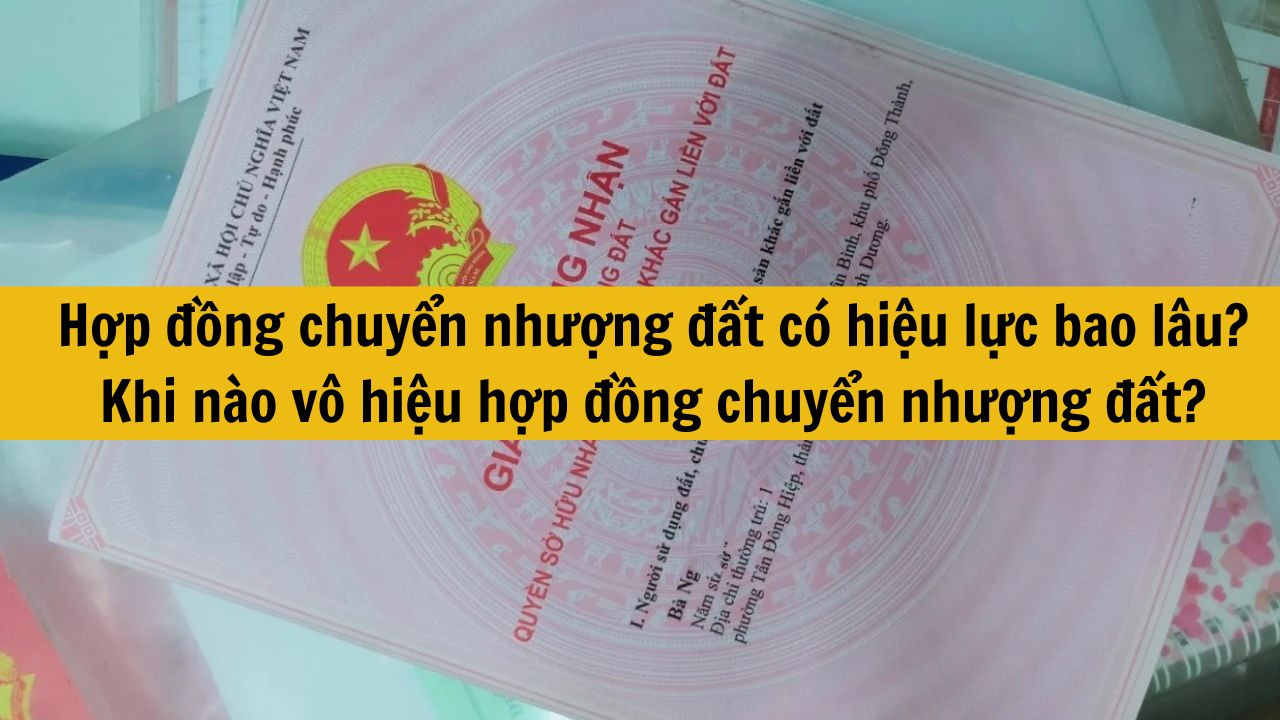 Hợp đồng chuyển nhượng đất c&oacute; hiệu lực bao l&acirc;u? Khi n&agrave;o v&ocirc; hiệu hợp đồng chuyển nhượng đất?