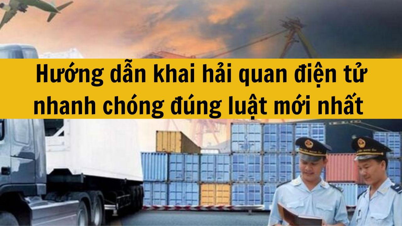 Hướng dẫn khai hải quan điện tử nhanh ch&oacute;ng đ&uacute;ng luật mới nhất 2025