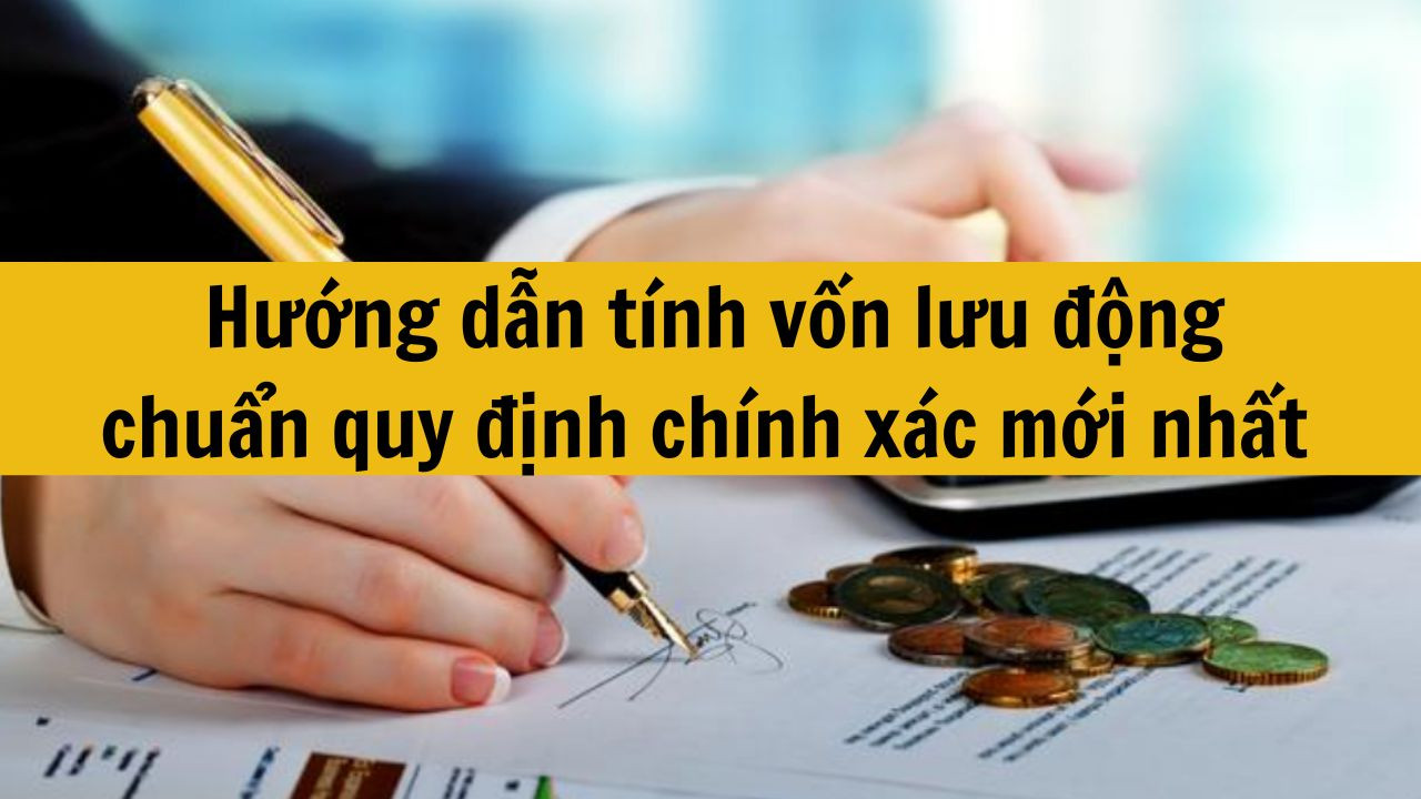 Hướng dẫn t&iacute;nh vốn lưu động chuẩn quy định ch&iacute;nh x&aacute;c mới nhất 2025