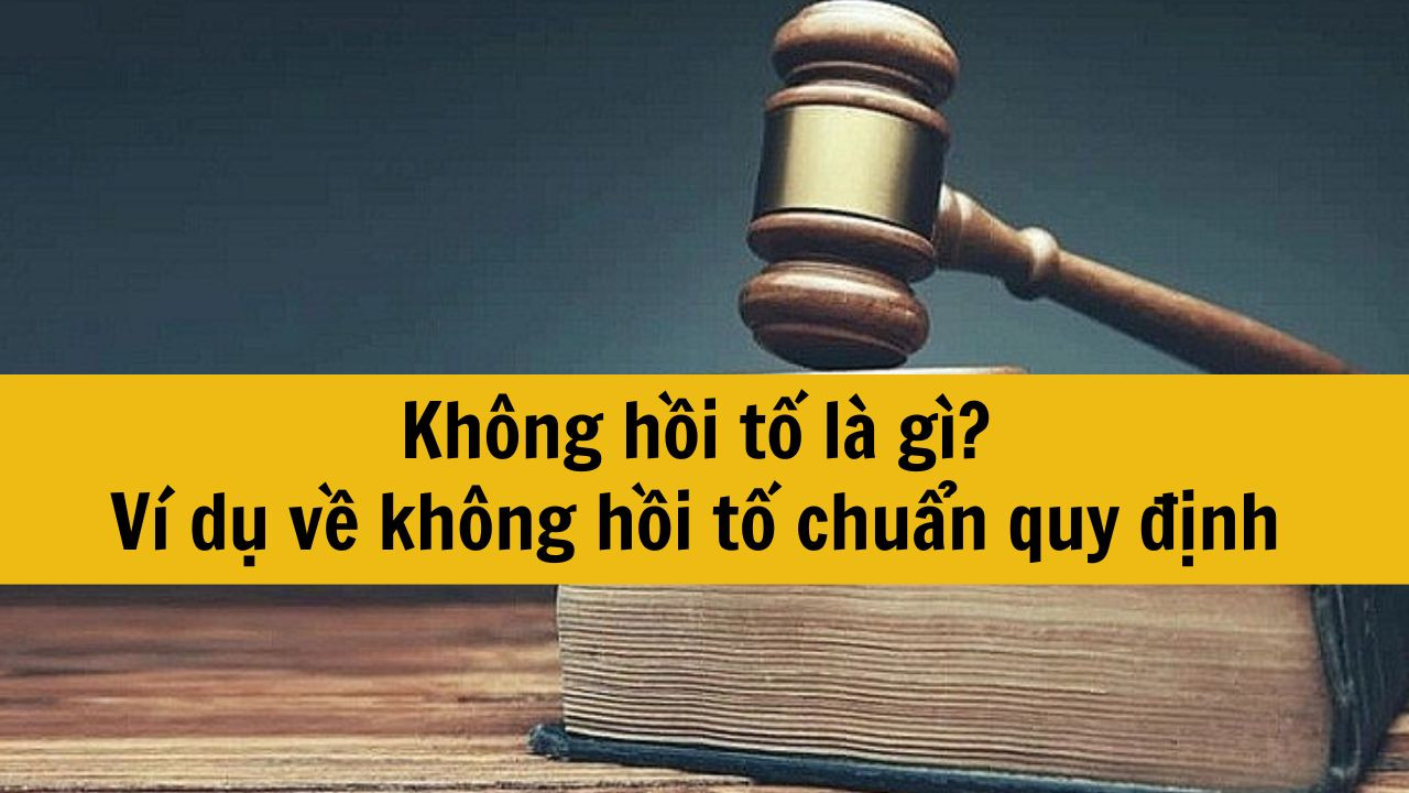 Kh&ocirc;ng hồi tố l&agrave; g&igrave;? V&iacute; dụ về kh&ocirc;ng hồi tố chuẩn quy định mới nhất 2025