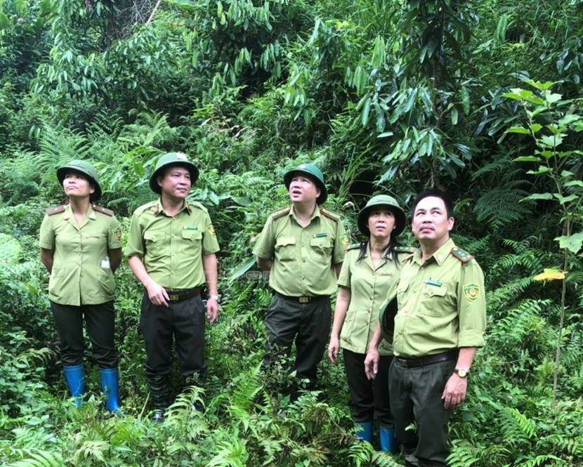 Quy định mới nhất về trang bị bảo đảm cho hoạt động của Kiểm l&acirc;m Việt Nam năm 2025
