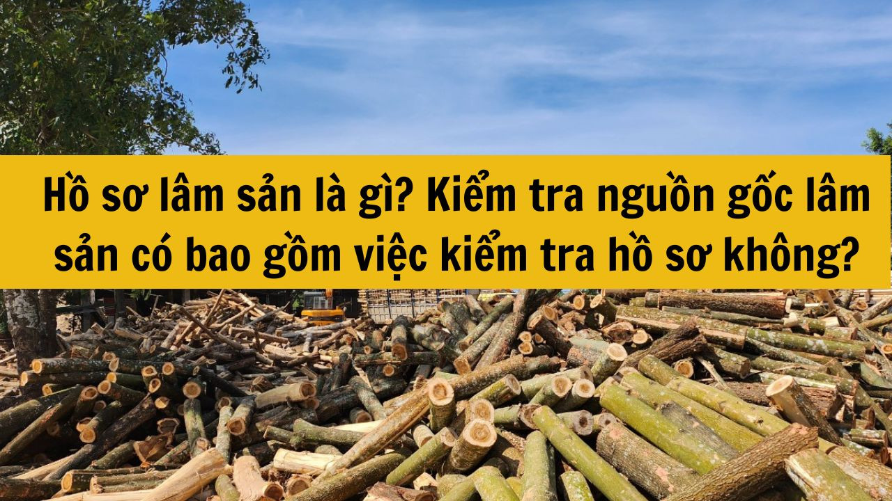 Hồ sơ l&acirc;m sản l&agrave; g&igrave;? Kiểm tra nguồn gốc l&acirc;m sản c&oacute; bao gồm việc kiểm tra hồ sơ kh&ocirc;ng?