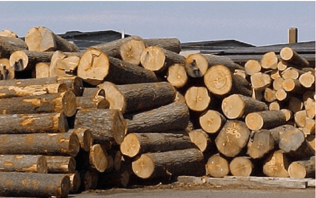 Mẫu bảng k&ecirc; l&acirc;m sản v&agrave; thủ tục x&aacute;c nhận bảng k&ecirc; l&acirc;m sản chuẩn quy định mới nhất 2025