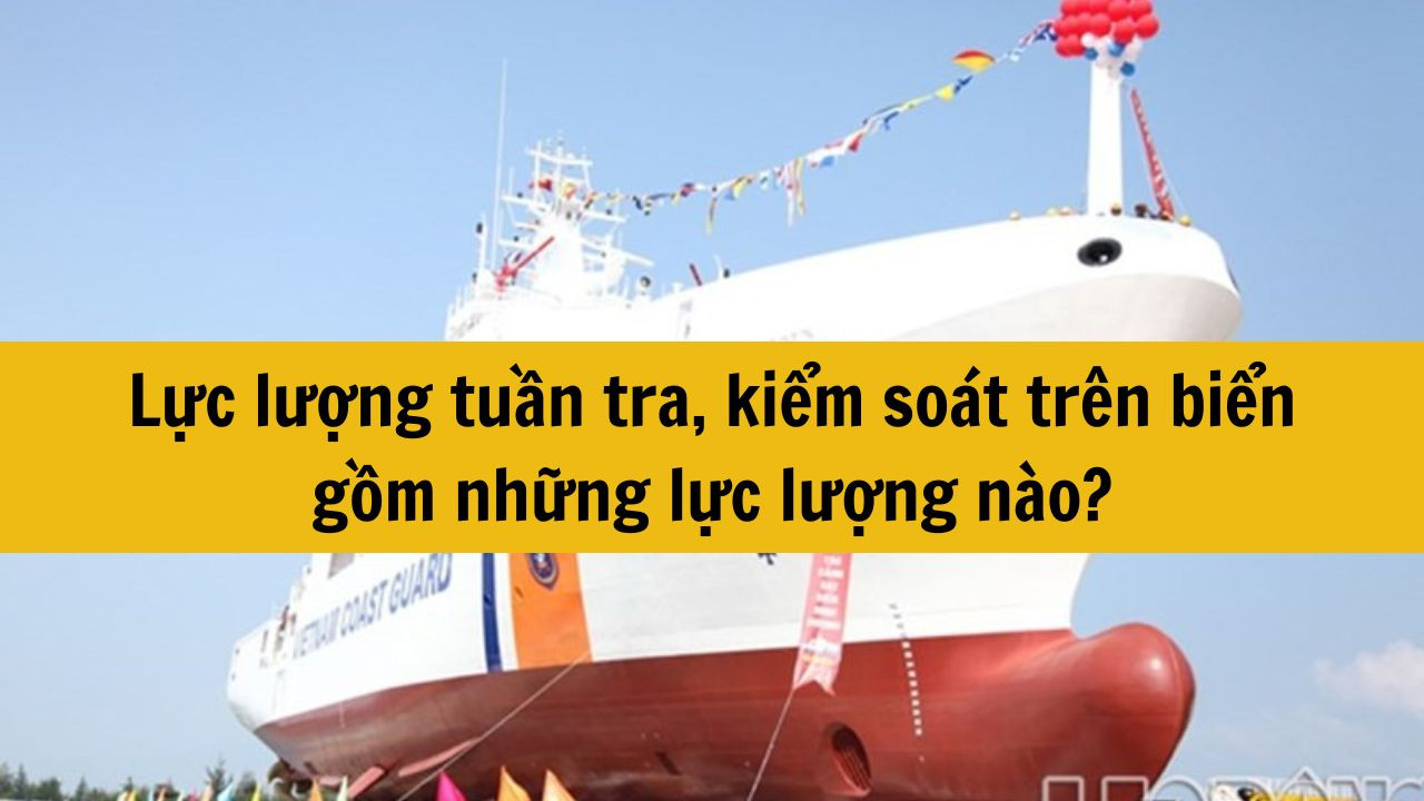 Lực lượng tuần tra, kiểm so&aacute;t tr&ecirc;n biển gồm những lực lượng n&agrave;o?