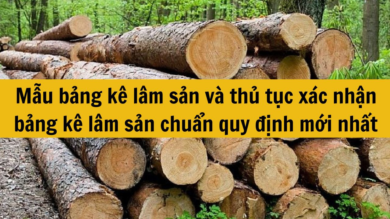 Mẫu bảng k&ecirc; l&acirc;m sản v&agrave; thủ tục x&aacute;c nhận bảng k&ecirc; l&acirc;m sản chuẩn quy định mới nhất 2025