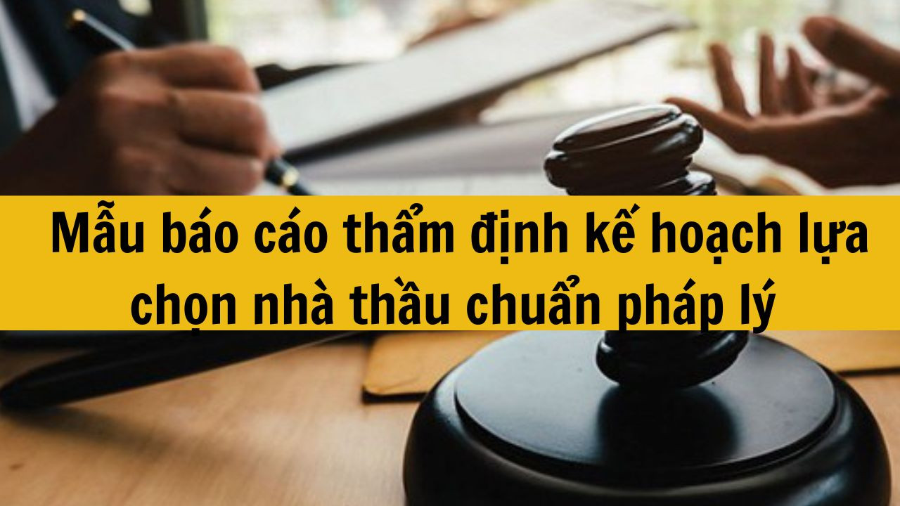 Mẫu b&aacute;o c&aacute;o thẩm định kế hoạch lựa chọn nh&agrave; thầu chuẩn ph&aacute;p l&yacute; mới nhất 2025
