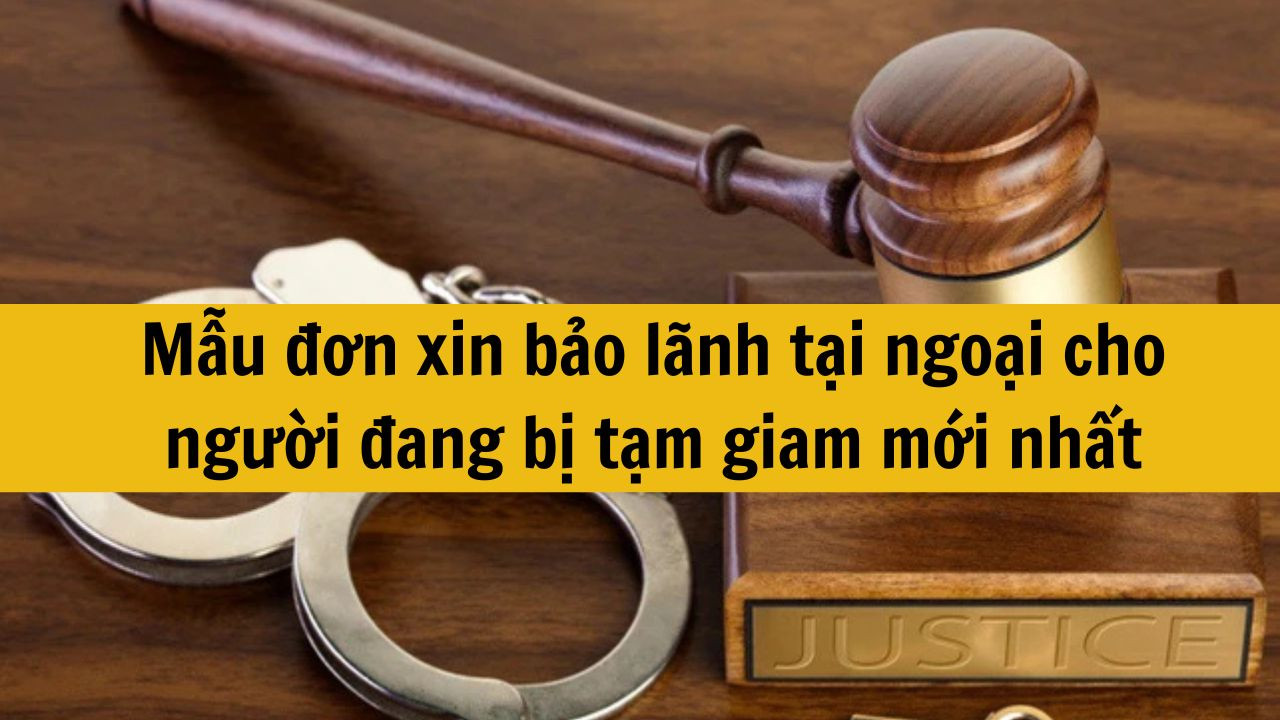 Mẫu đơn xin bảo l&atilde;nh tại ngoại cho người đang bị tạm giam mới nhất 2025