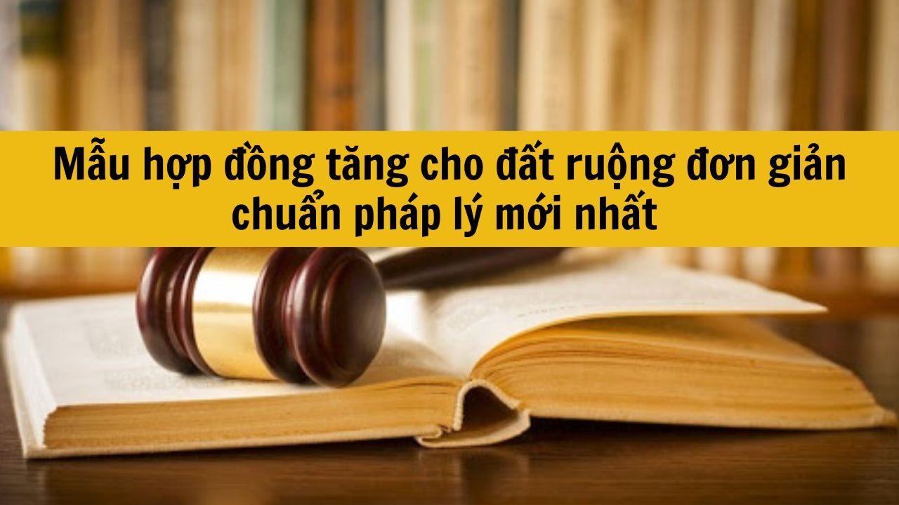 Mẫu hợp đồng tặng cho đất ruộng đơn giản chuẩn ph&aacute;p l&yacute; mới nhất 2025