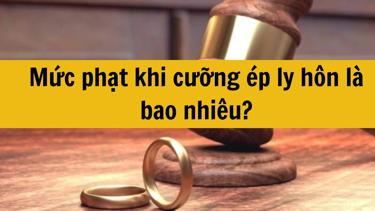 Mức phạt khi cưỡng &eacute;p ly h&ocirc;n l&agrave; bao nhi&ecirc;u mới nhất 2025?
