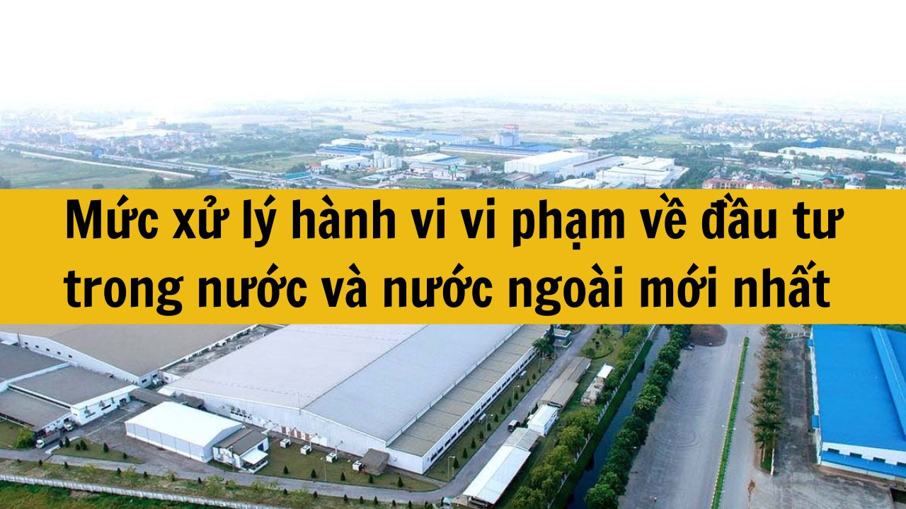 Mức xử l&yacute; h&agrave;nh vi vi phạm về đầu tư trong nước v&agrave; nước ngo&agrave;i mới nhất 2025