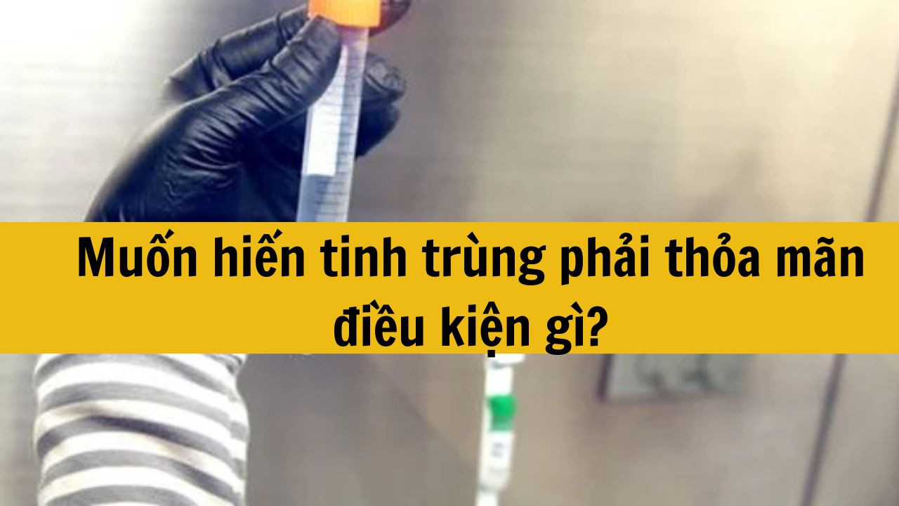 Muốn hiến tinh tr&ugrave;ng phải thỏa m&atilde;n điều kiện g&igrave;?