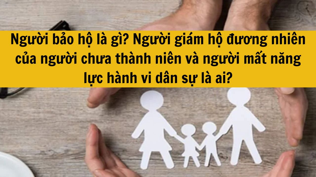 Người bảo hộ l&agrave; g&igrave;? Người gi&aacute;m hộ đương nhi&ecirc;n của người chưa th&agrave;nh ni&ecirc;n v&agrave; người mất năng lực h&agrave;nh vi d&acirc;n sự l&agrave; ai?