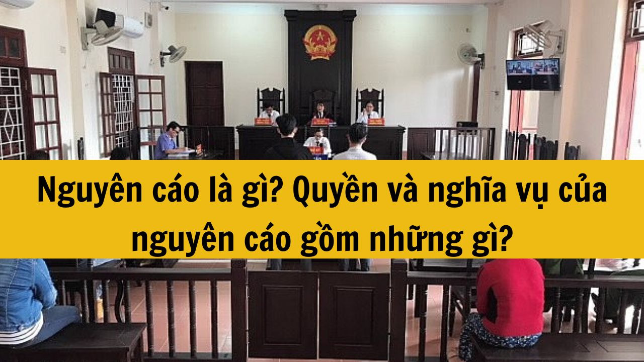 Nguy&ecirc;n c&aacute;o l&agrave; g&igrave; mới nhất 2025? Quyền v&agrave; nghĩa vụ của nguy&ecirc;n c&aacute;o gồm những g&igrave;?
