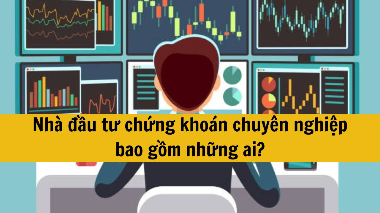 Nh&agrave; đầu tư chứng kho&aacute;n chuy&ecirc;n nghiệp bao gồm những ai?