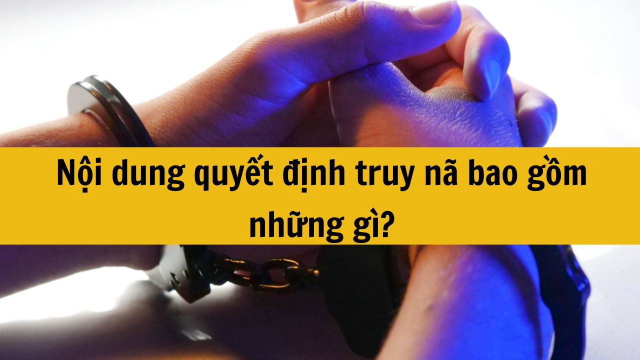 Nội dung quyết định truy n&atilde; bao gồm những g&igrave;?