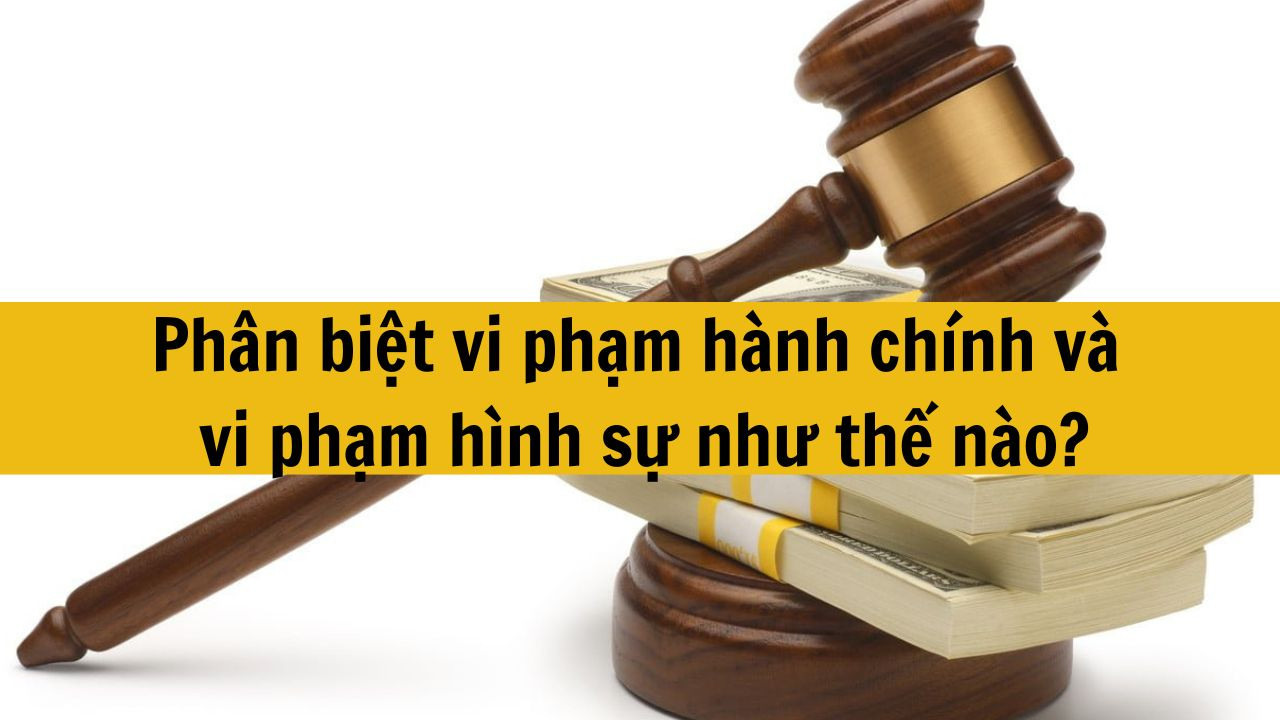 Ph&acirc;n biệt vi phạm h&agrave;nh ch&iacute;nh v&agrave; vi phạm h&igrave;nh sự như thế n&agrave;o?