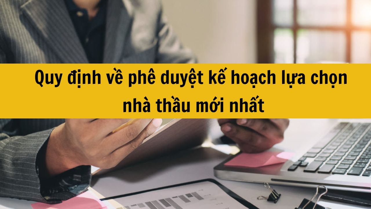 Quy định về ph&ecirc; duyệt kế hoạch lựa chọn nh&agrave; thầu mới nhất 2025