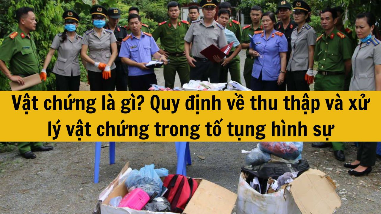 Vật chứng l&agrave; g&igrave;? Quy định về thu thập v&agrave; xử l&yacute; vật chứng trong tố tụng h&igrave;nh sự mới nhất 2025