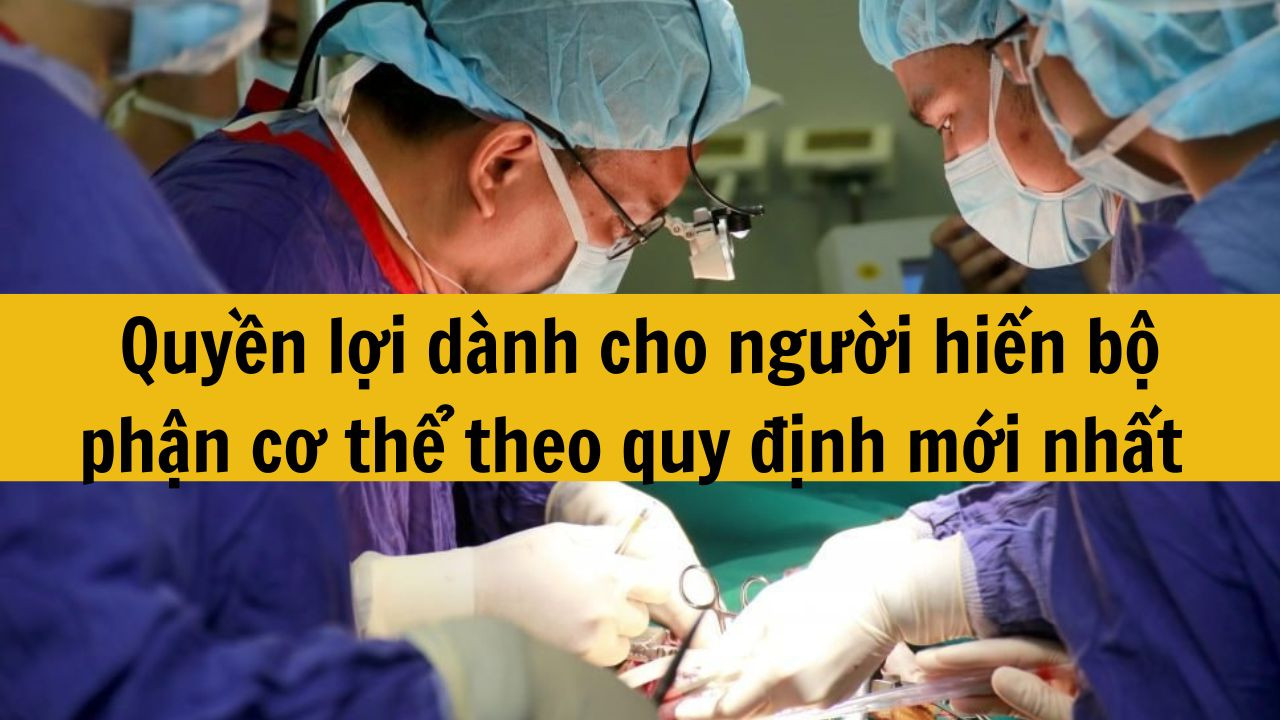 Quyền lợi d&agrave;nh cho người hiến bộ phận cơ thể theo quy định mới nhất 2025