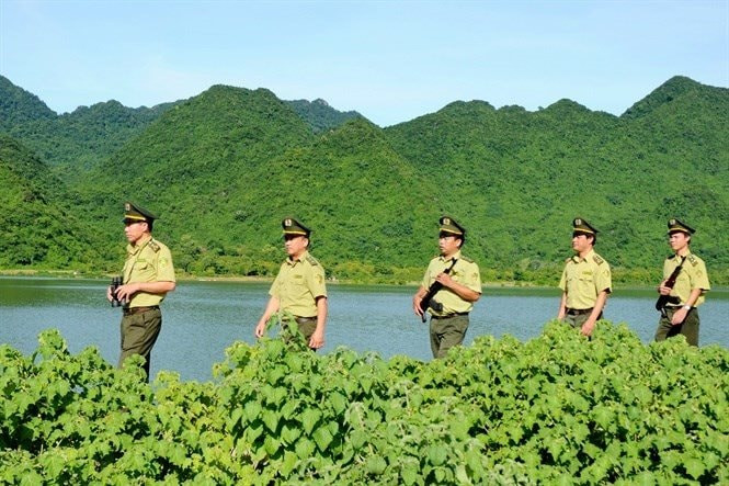 Kiểm l&acirc;m được sử dụng s&uacute;ng trong những trường hợp n&agrave;o?