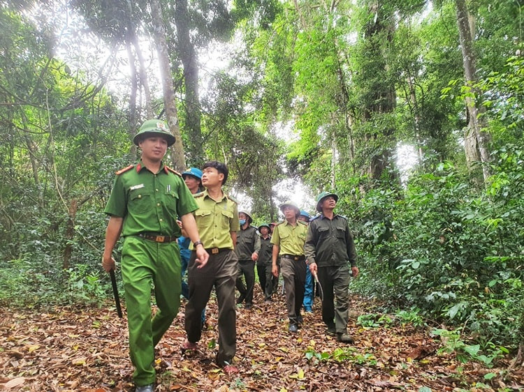 Mức lương của Kiểm l&acirc;m hiện nay l&agrave; bao nhi&ecirc;u?