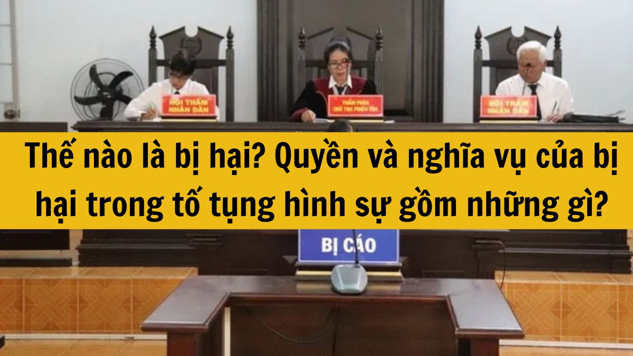 Thế n&agrave;o l&agrave; bị hại? Quyền v&agrave; nghĩa vụ của bị hại trong tố tụng h&igrave;nh sự gồm những g&igrave;?