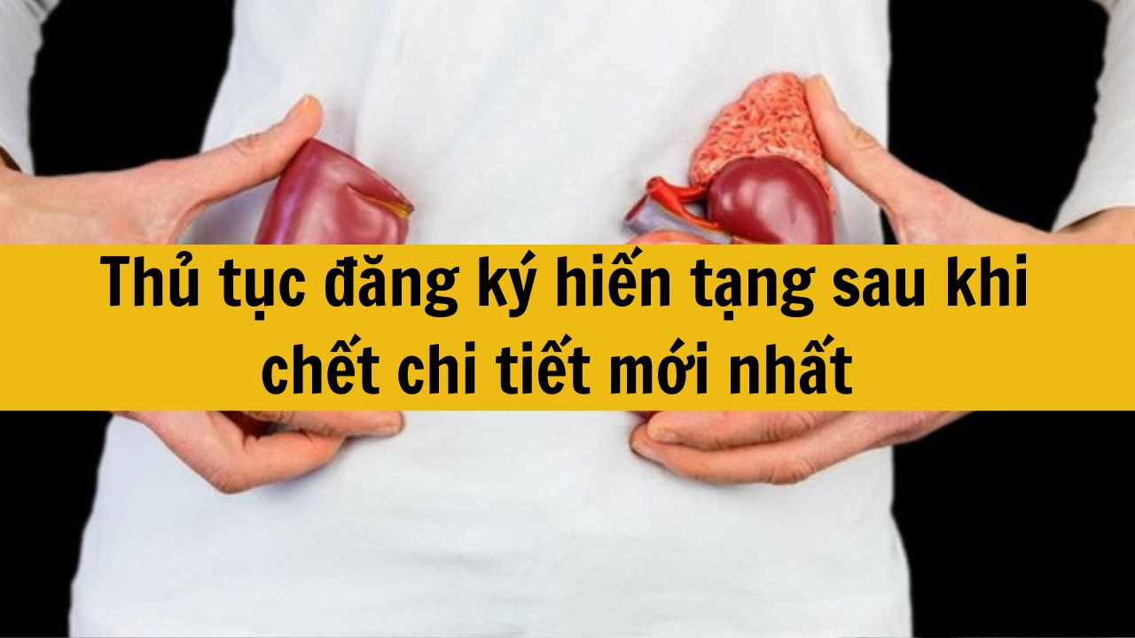 Thủ tục đăng k&yacute; hiến tạng sau khi chết chi tiết mới nhất 2025