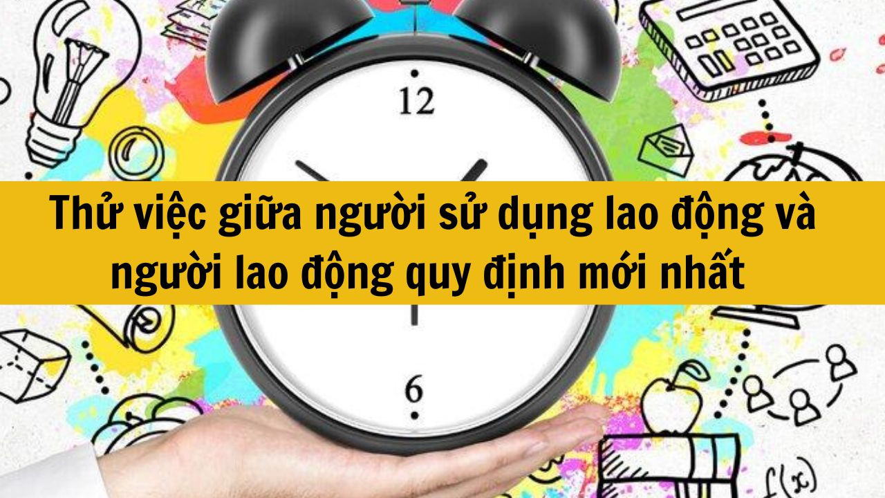 Thử việc giữa người sử dụng lao động v&agrave; người lao động quy định mới nhất 2025 thế n&agrave;o?