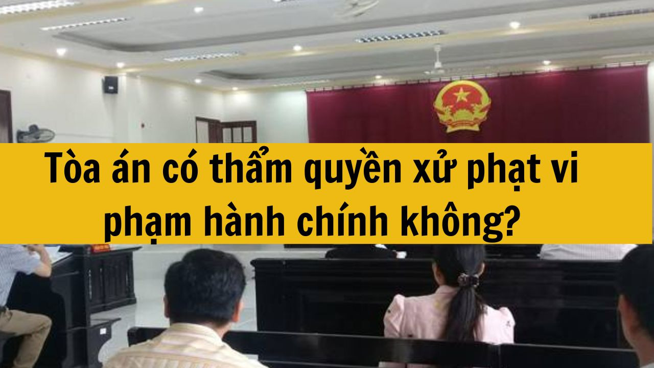 T&ograve;a &aacute;n c&oacute; thẩm quyền xử phạt vi phạm h&agrave;nh ch&iacute;nh kh&ocirc;ng?