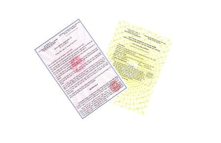 Tr&ecirc;n Giấy chứng nhận đăng k&yacute; đầu tư thể hiện những th&ocirc;ng tin g&igrave;?