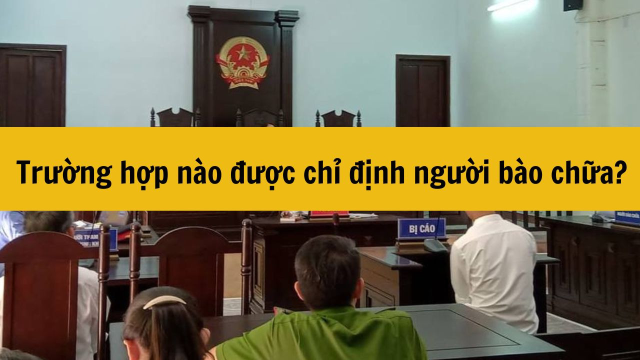 Trường hợp n&agrave;o được chỉ định người b&agrave;o chữa?