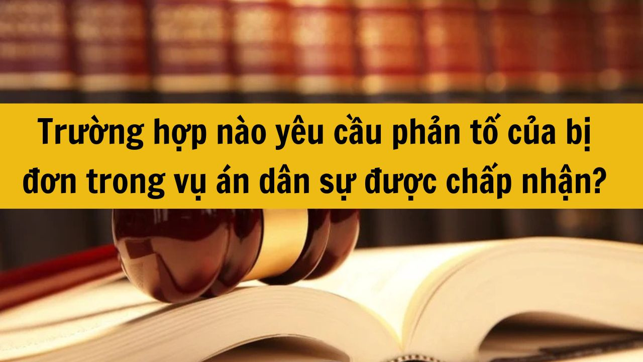 Trường hợp n&agrave;o y&ecirc;u cầu phản tố của bị đơn trong vụ &aacute;n d&acirc;n sự được chấp nhận?