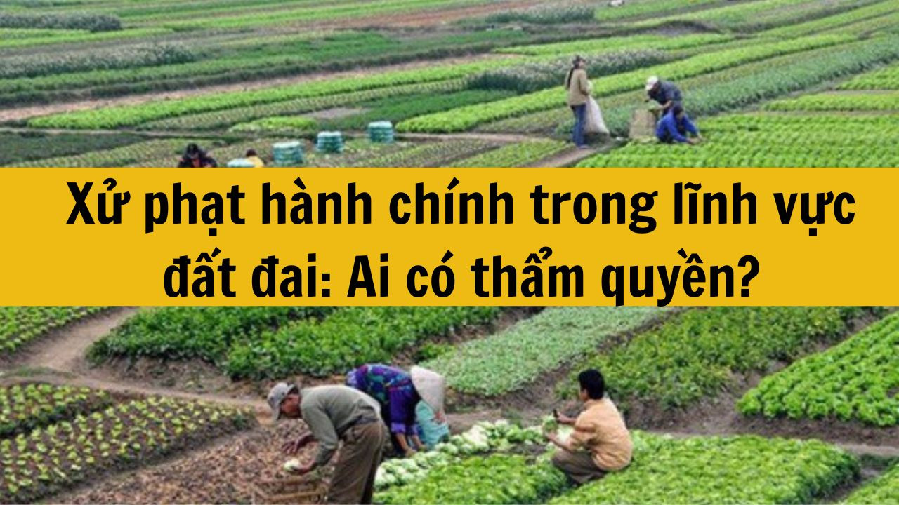 Xử phạt h&agrave;nh ch&iacute;nh trong lĩnh vực đất đai: Ai c&oacute; thẩm quyền?