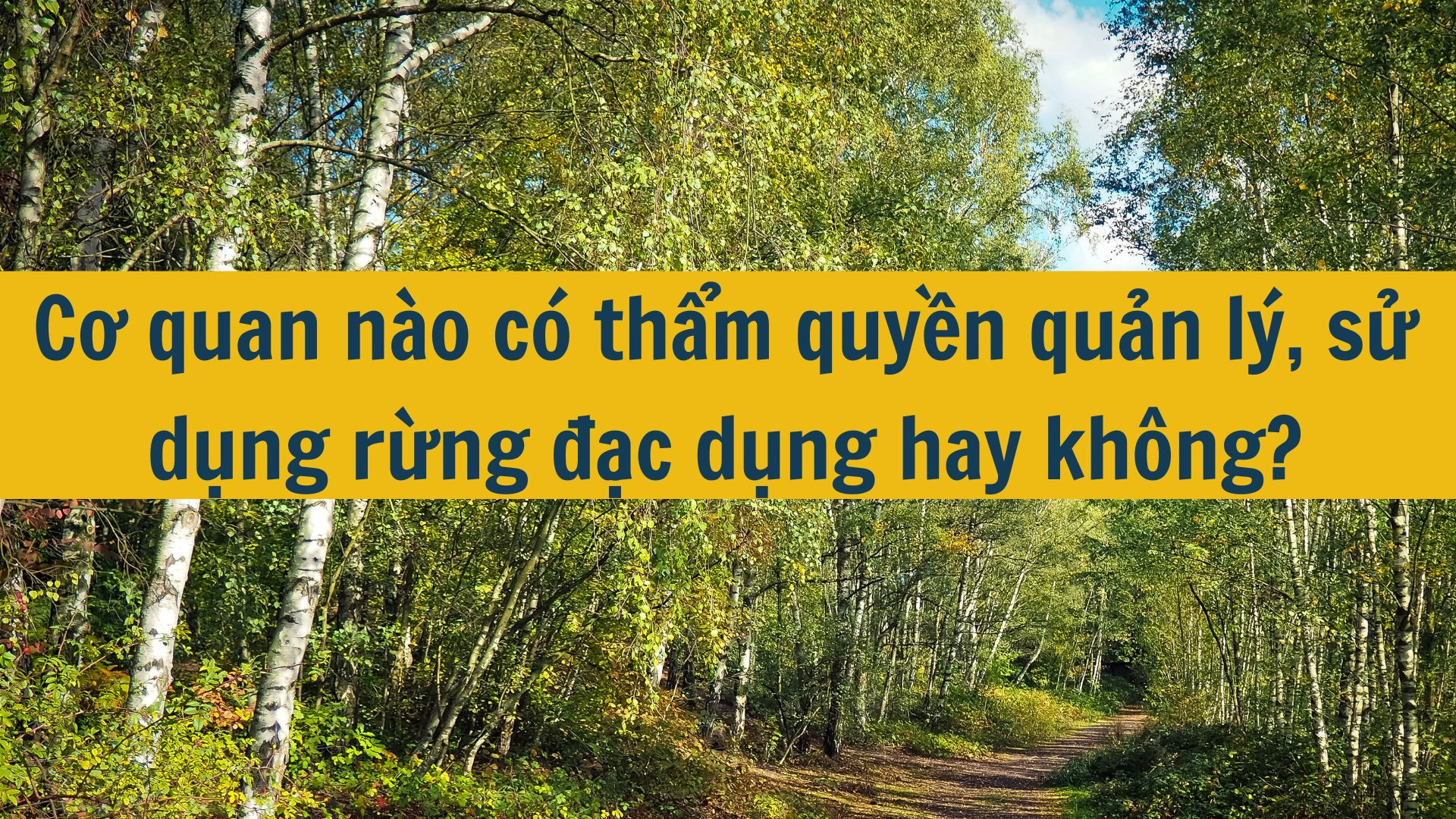 Cơ quan n&agrave;o c&oacute; thẩm quyền quản l&yacute;, sử dụng rừng đặc dụng hay kh&ocirc;ng?