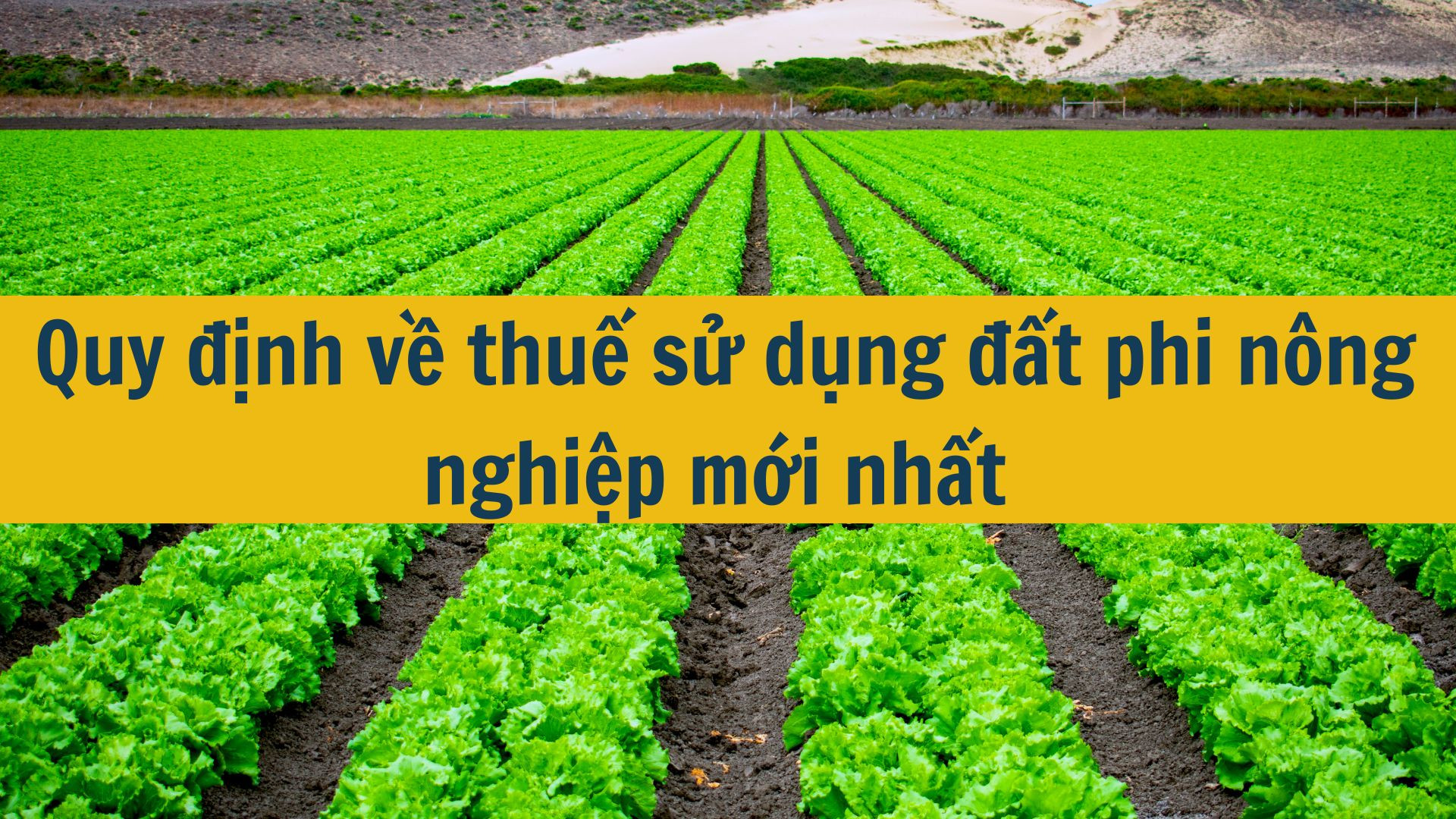 Quy định về thuế sử dụng đất phi n&ocirc;ng nghiệp mới nhất 2025