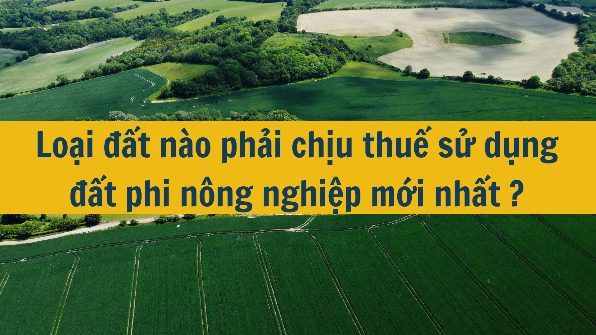 Loại đất n&agrave;o phải chịu thuế sử dụng đất phi n&ocirc;ng nghiệp mới nhất 2025?