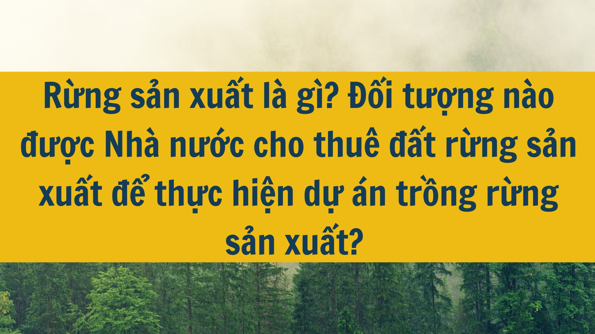 Thẩm quyền quyết định, ph&ecirc; duyệt quy hoạch, kế hoạch sử dụng đất thuộc về ai theo quy định năm 2025? Chuy&ecirc;n vi&ecirc;n ph&aacute;p l&yacute;: Đỗ Trần Quỳnh Trang Tham vấn bởi Luật sư: Nguyễn Thụy H&acirc;n Thẩm quyền quyết định, ph&ecirc; duyệt quy hoạch, kế hoạch sử dụng đất thuộc về ai theo quy định năm 2025? Ai c&oacute; tr&aacute;ch nhiệm lập kế hoạch sử dụng đất? Nội dung ch&iacute;nh Thẩm quyền quyết định, ph&ecirc; duyệt quy hoạch, kế hoạch sử dụng đất thuộc về ai?  Ai c&oacute; tr&aacute;ch nhiệm lập kế hoạch sử dụng đất? Nguy&ecirc;n tắc lập quy hoạch, kế hoạch sử dụng đất l&agrave; g&igrave;? Thẩm quyền quyết định, ph&ecirc; duyệt quy hoạch, kế hoạch sử dụng đất thuộc về ai?  Thẩm quyền quyết định, ph&ecirc; duyệt quy hoạch, kế hoạch sử dụng đất được quy định chi tiết tại Điều 72 Luật Đất đai 2024 như sau:  (1) Thẩm quyền quyết định, ph&ecirc; duyệt quy hoạch sử dụng đất quốc gia, quy hoạch sử dụng đất quốc ph&ograve;ng, quy hoạch sử dụng đất an ninh thực hiện theo quy định của Luật Quy hoạch 2017.  (2) Ch&iacute;nh phủ ph&ecirc; duyệt kế hoạch sử dụng đất quốc gia.  (3) Thủ tướng Ch&iacute;nh phủ ph&ecirc; duyệt quy hoạch sử dụng đất cấp tỉnh, kế hoạch sử dụng đất cấp tỉnh đối với th&agrave;nh phố trực thuộc Trung ương kh&ocirc;ng phải lập quy hoạch sử dụng đất cấp tỉnh.  (4) Ủy ban nh&acirc;n d&acirc;n cấp tỉnh ph&ecirc; duyệt quy hoạch sử dụng đất cấp huyện, kế hoạch sử dụng đất hằng năm cấp huyện.  (5) Trước khi ph&ecirc; duyệt kế hoạch sử dụng đất hằng năm cấp huyện, Ủy ban nh&acirc;n d&acirc;n cấp tỉnh tr&igrave;nh Hội đồng nh&acirc;n d&acirc;n cấp tỉnh th&ocirc;ng qua danh mục c&ocirc;ng tr&igrave;nh, dự &aacute;n phải thu hồi đất, trong đ&oacute; c&oacute; dự &aacute;n thu hồi đất để đấu gi&aacute; quyền sử dụng đất, đấu thầu lựa chọn nh&agrave; đầu tư thực hiện dự &aacute;n c&oacute; sử dụng đất; dự &aacute;n phải chuyển mục đ&iacute;ch sử dụng đất m&agrave; c&oacute; diện t&iacute;ch đất trồng l&uacute;a, đất rừng đặc dụng, đất rừng ph&ograve;ng hộ, đất rừng sản xuất theo quy hoạch, trừ c&aacute;c trường hợp quy định tại khoản 4 Điều 67 Luật Đất đai 2024. 