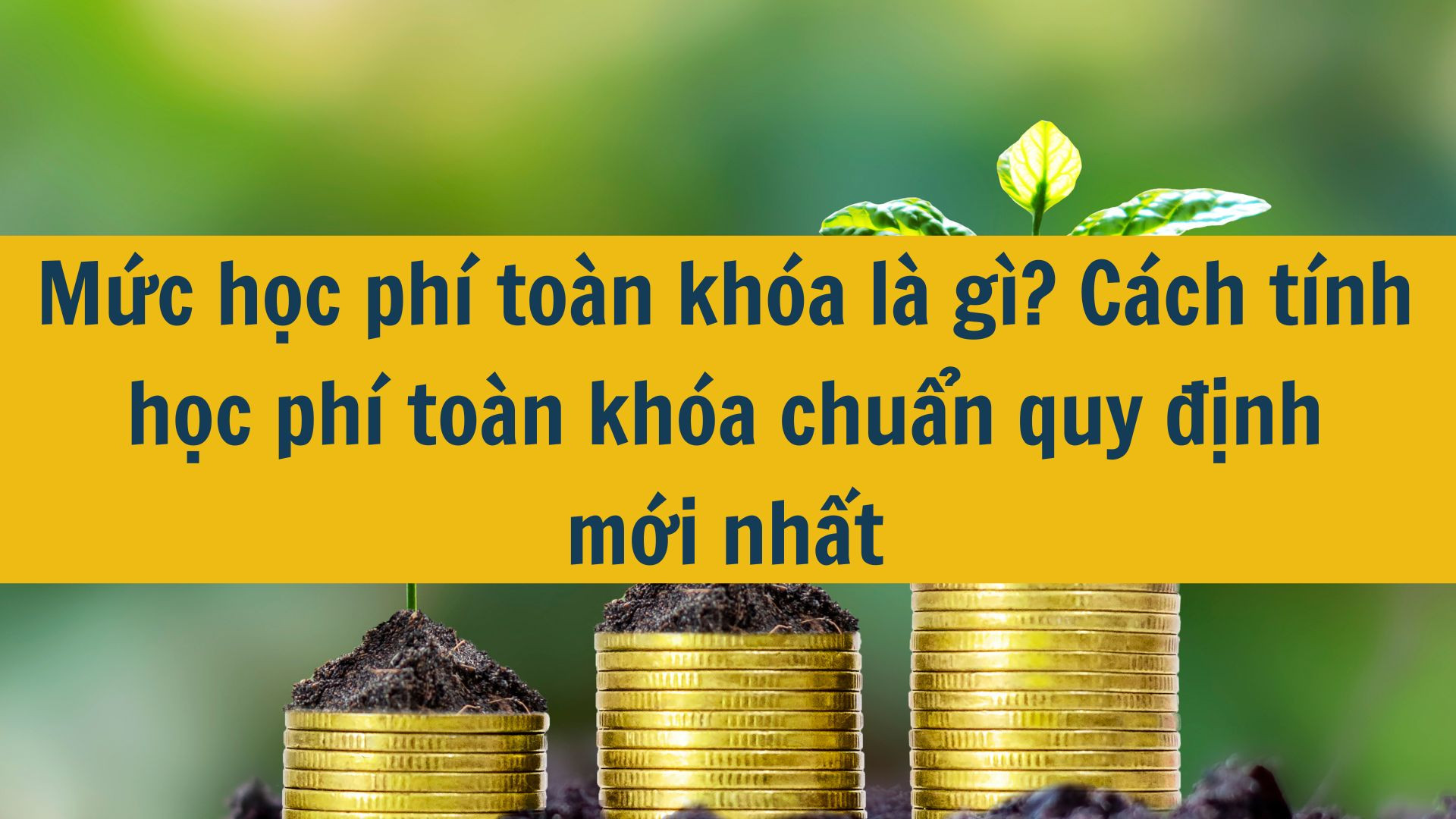 Mức học ph&iacute; to&agrave;n kh&oacute;a l&agrave; g&igrave;? C&aacute;ch t&iacute;nh học ph&iacute; to&agrave;n kh&oacute;a chuẩn quy định mới nhất 2025