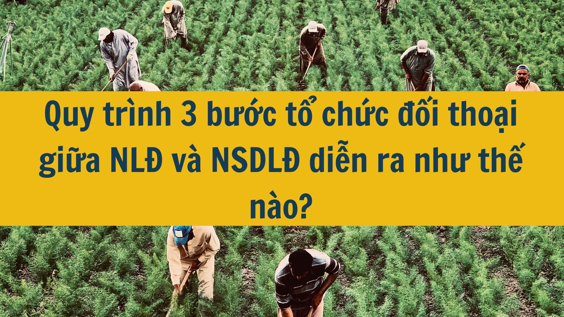 Quy tr&igrave;nh 3 bước tổ chức đối thoại giữa NLĐ v&agrave; NSDLĐ diễn ra như thế n&agrave;o?