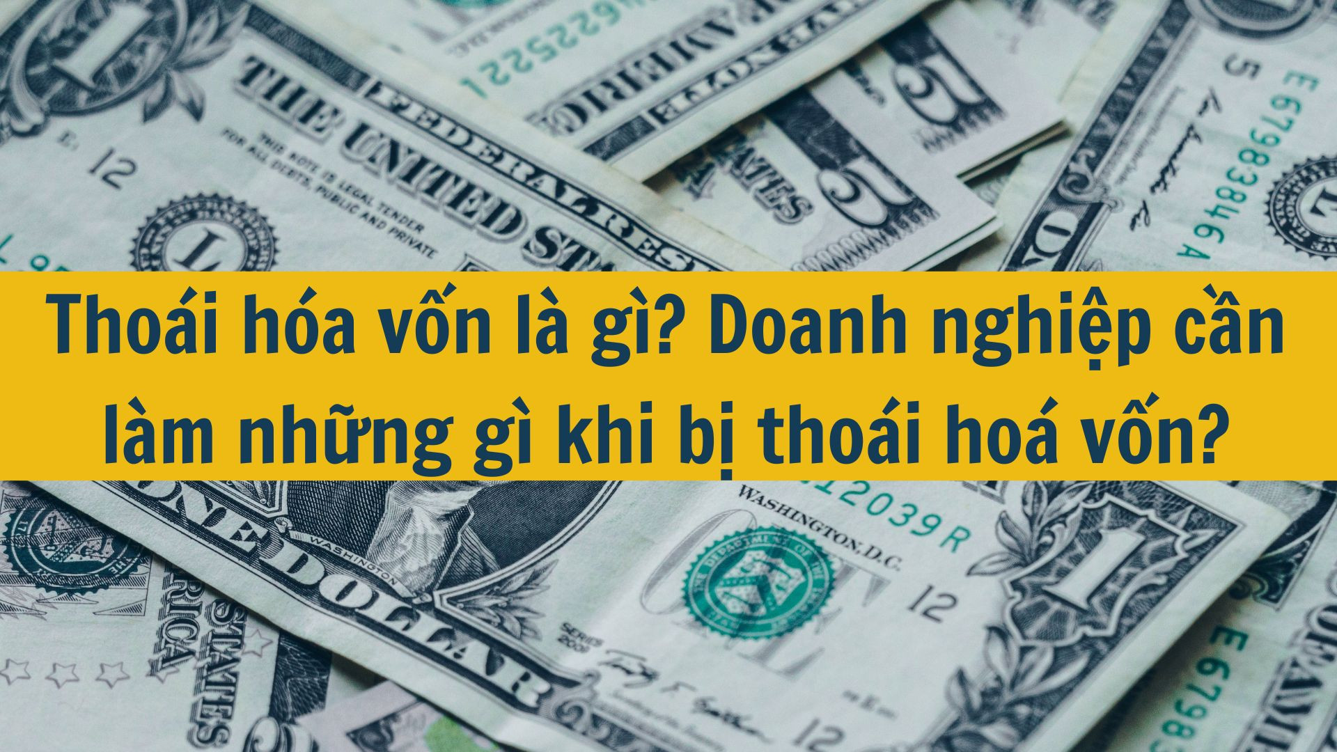 Tho&aacute;i h&oacute;a vốn l&agrave; g&igrave;? Doanh nghiệp cần l&agrave;m những g&igrave; khi bị tho&aacute;i ho&aacute; vốn?