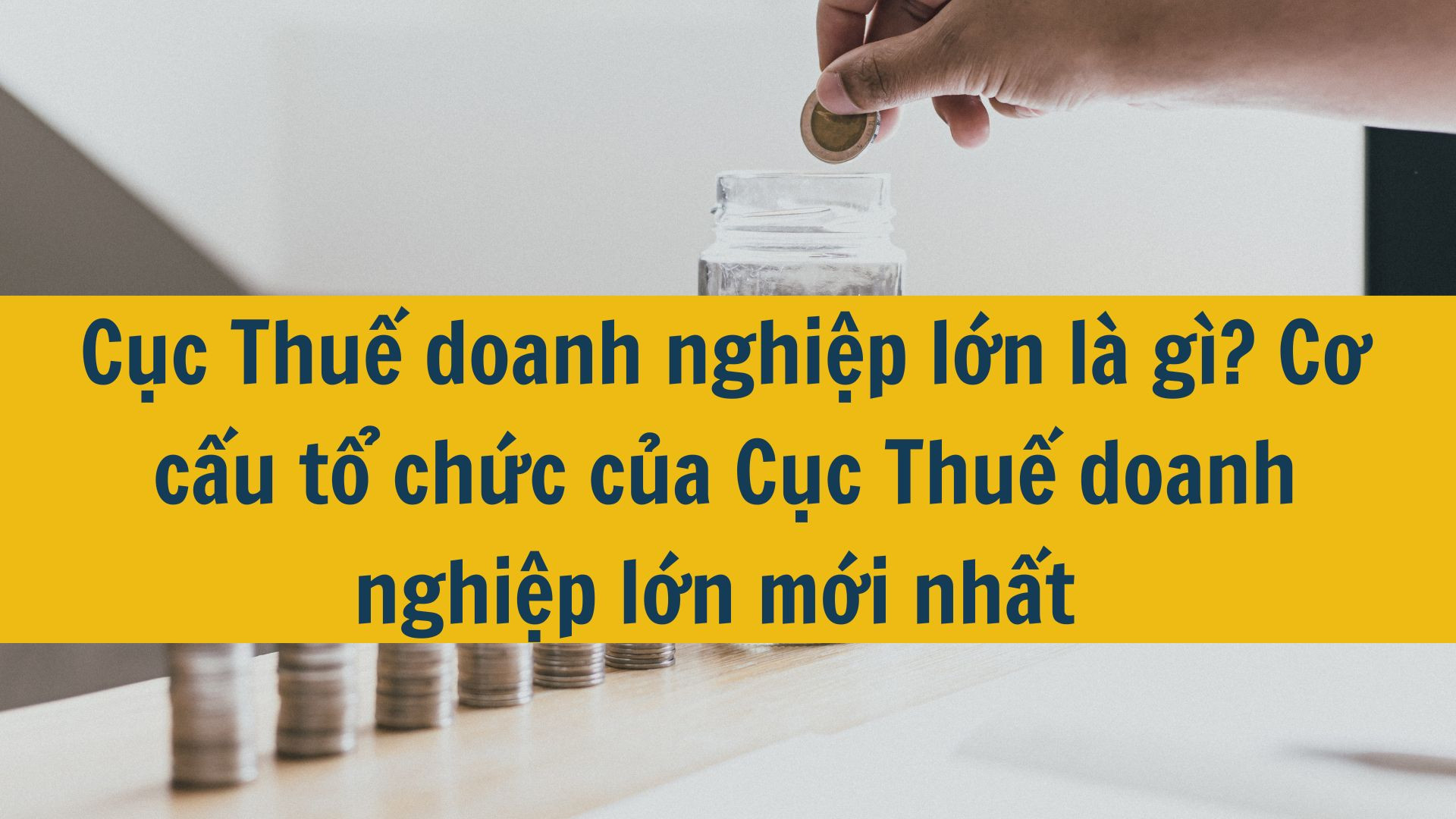 Cục Thuế doanh nghiệp lớn l&agrave; g&igrave;? Cơ cấu tổ chức của Cục Thuế doanh nghiệp lớn mới nhất 2025