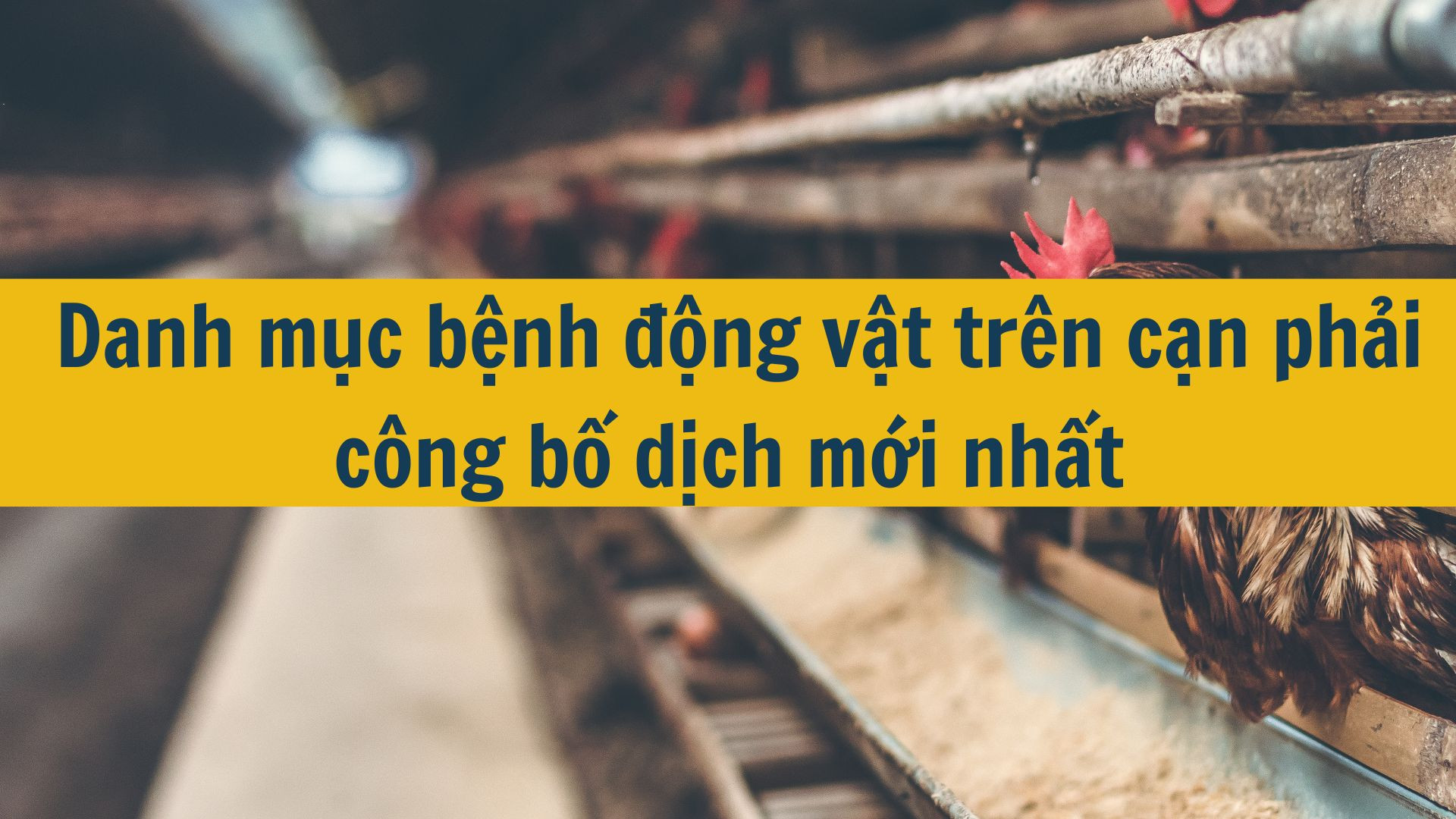 Danh mục bệnh động vật tr&ecirc;n cạn phải c&ocirc;ng bố dịch mới nhất 2025