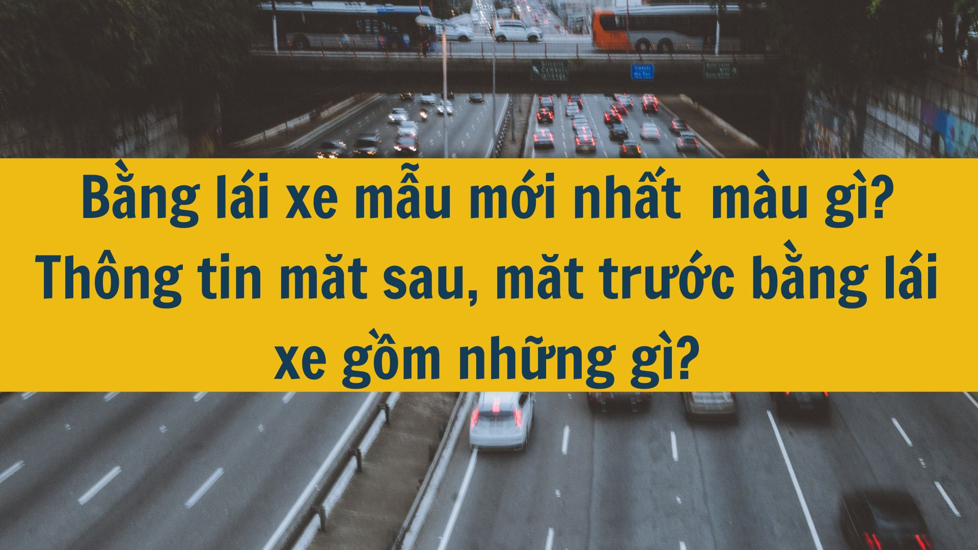 Bằng l&aacute;i xe mẫu mới nhất 2025 m&agrave;u g&igrave;? Th&ocirc;ng tin mặt sau, mặt trước bằng l&aacute;i xe gồm những g&igrave;?