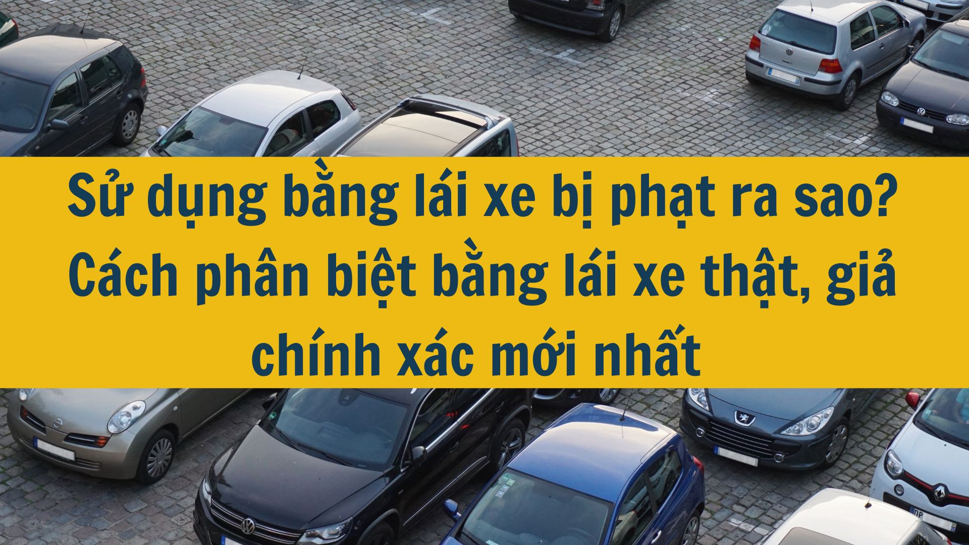 Sử dụng bằng l&aacute;i xe bị phạt ra sao? C&aacute;ch ph&acirc;n biệt bằng l&aacute;i xe thật, giả ch&iacute;nh x&aacute;c mới nhất 2025