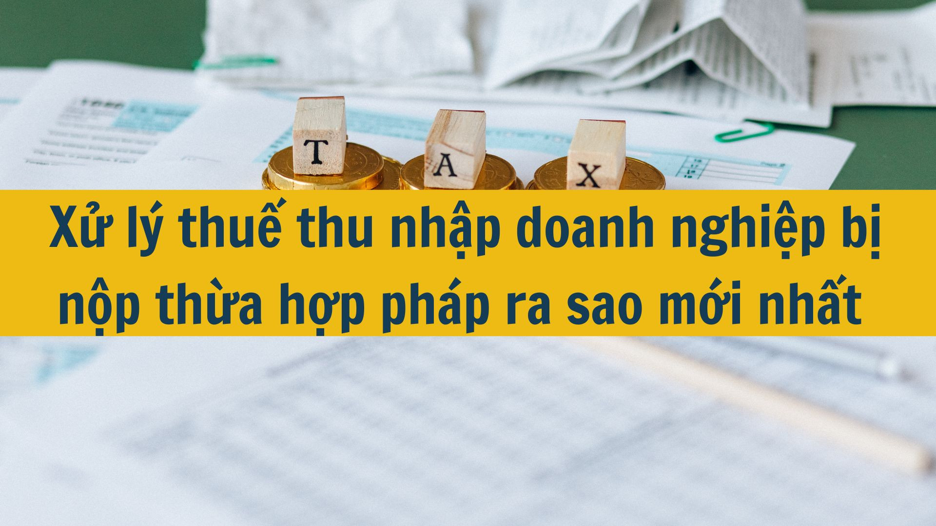 Xử l&yacute; thuế thu nhập doanh nghiệp bị nộp thừa hợp ph&aacute;p ra sao mới nhất 2025?